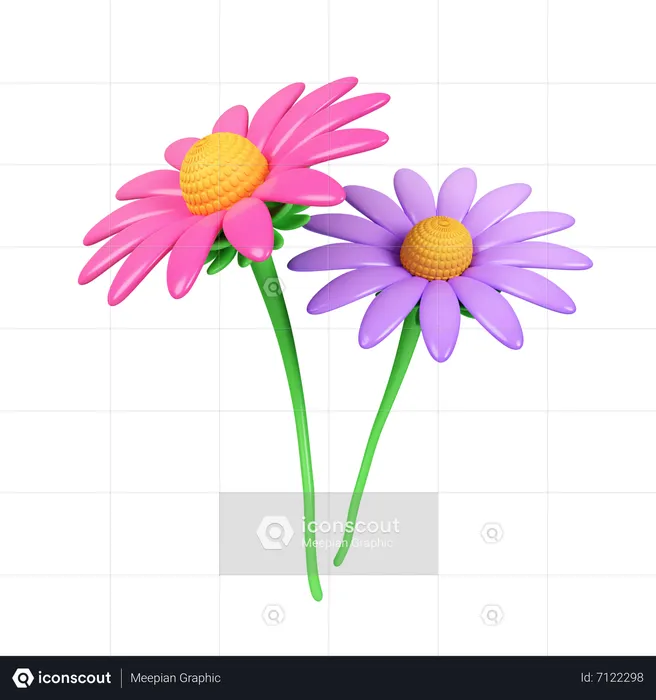 Pink And Purple Echinacea Flower  3D Icon