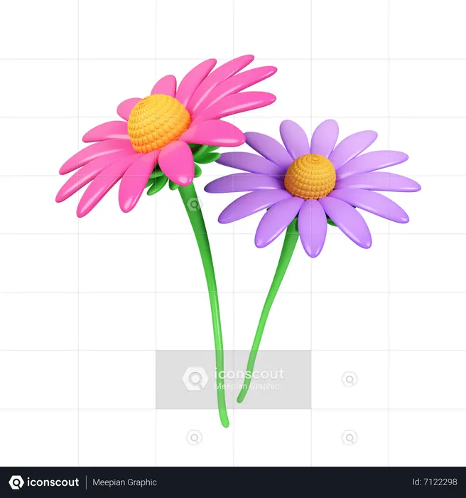 Pink And Purple Echinacea Flower  3D Icon