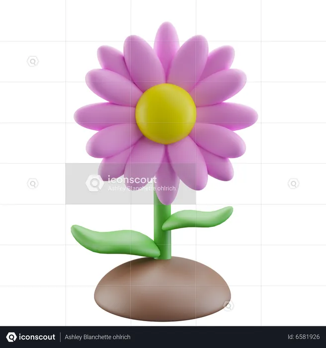 Pink Daisy Flower  3D Icon