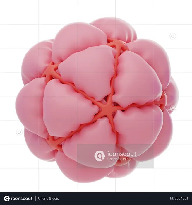 Pink Soft Body Tied Balloon Shape  3D Icon