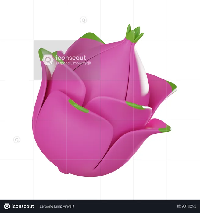 Pitaya  3D Icon