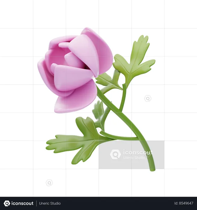 Pivoine  3D Icon