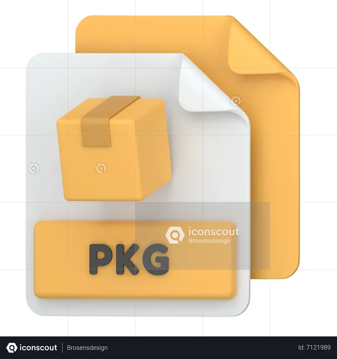 PKG  3D Icon
