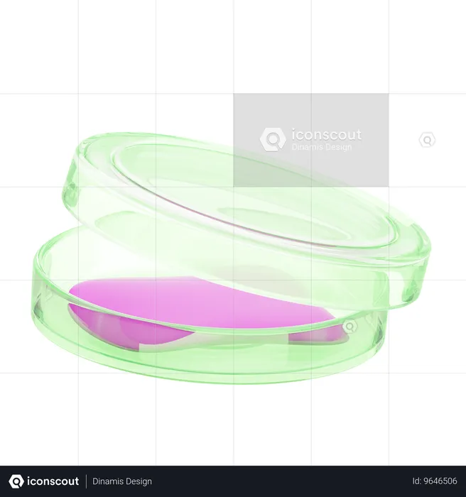 Placa de Petri  3D Icon