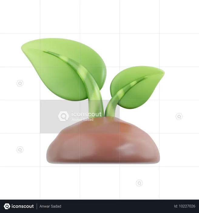 植物  3D Icon