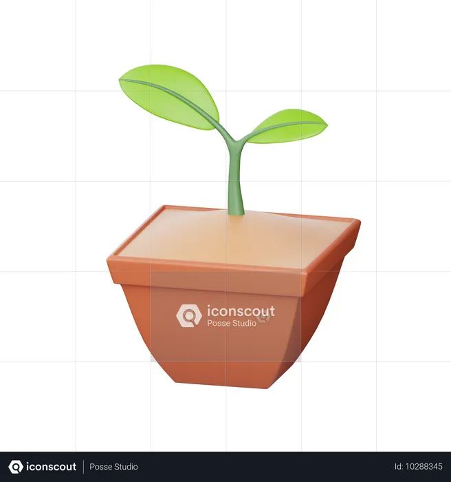 植物  3D Icon