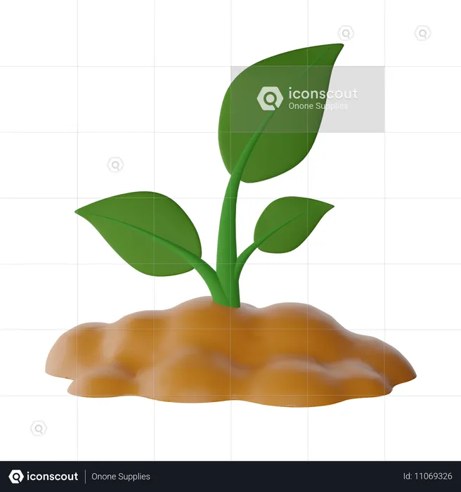 植物  3D Icon