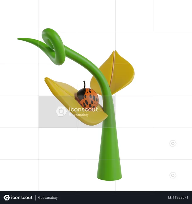 Plant  3D Icon