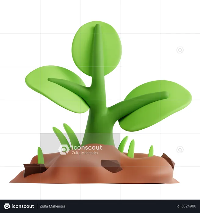 Plant  3D Icon