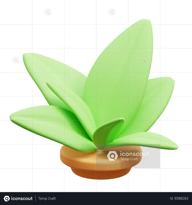 Plant  3D Icon