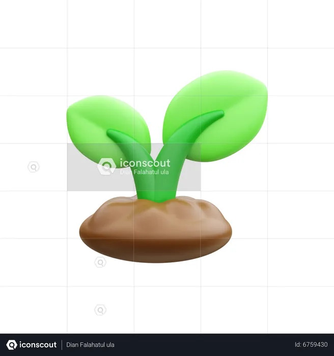 Plant  3D Icon