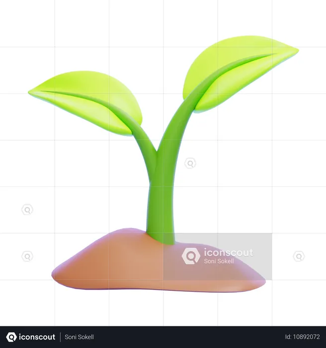 Plant  3D Icon