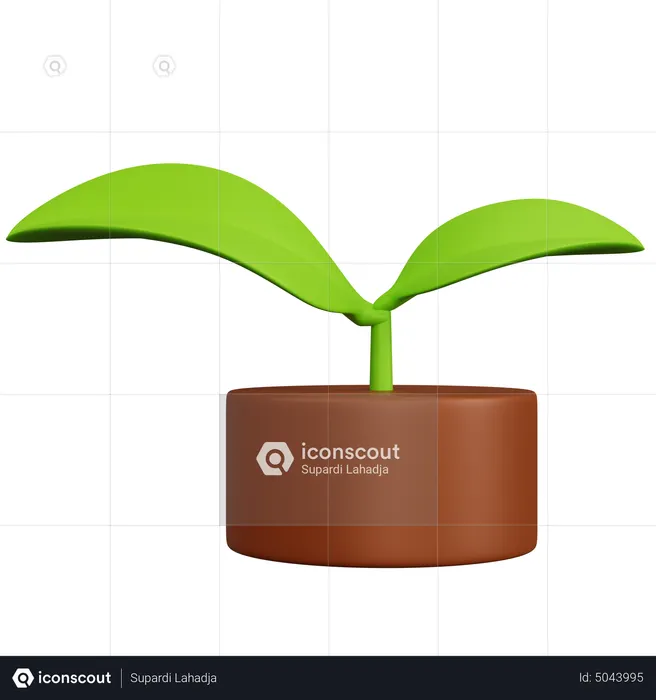 Plant  3D Icon