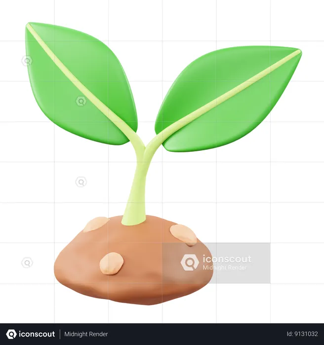 Plant  3D Icon