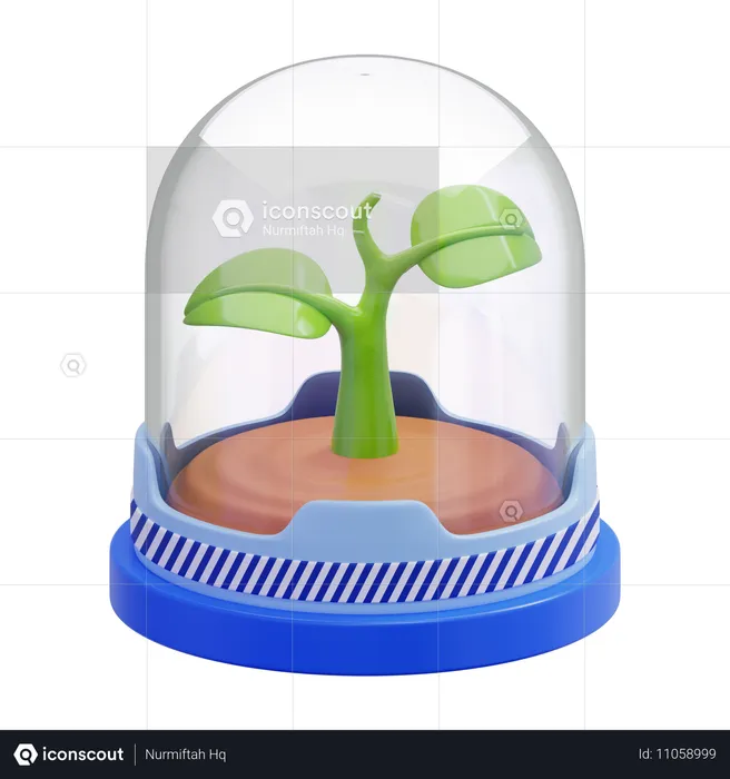 Plant A Glass Dome  3D Icon