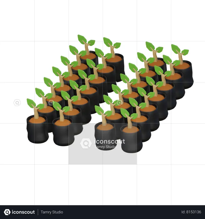 Plant Bag  3D Icon