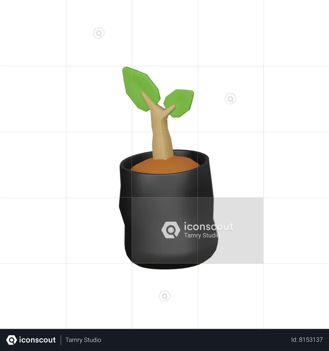 Plant Bag  3D Icon