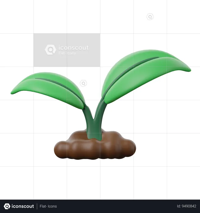 Plant Based  3D Icon