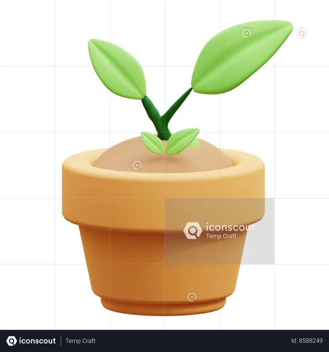 Plant Growth  3D Icon