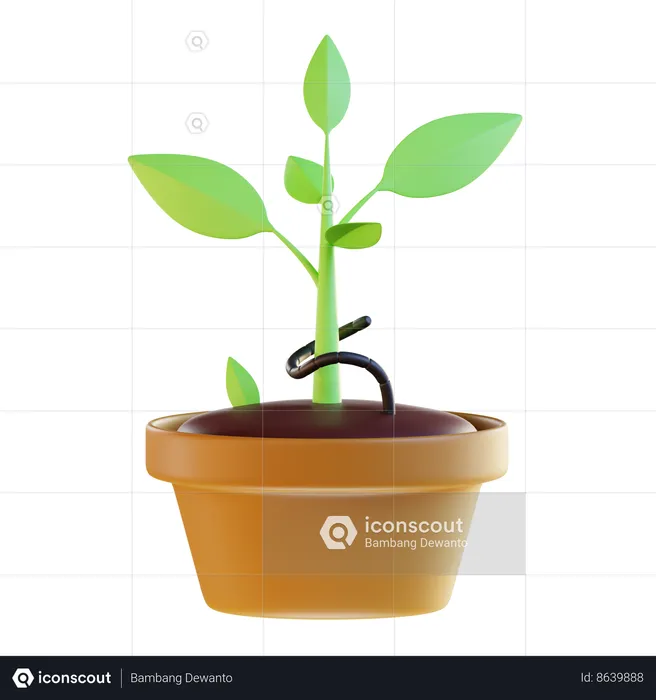 Plant Growth  3D Icon