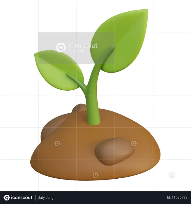 Plant Growth  3D Icon