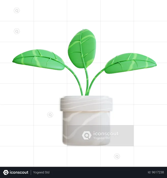 Plant Pot  3D Icon