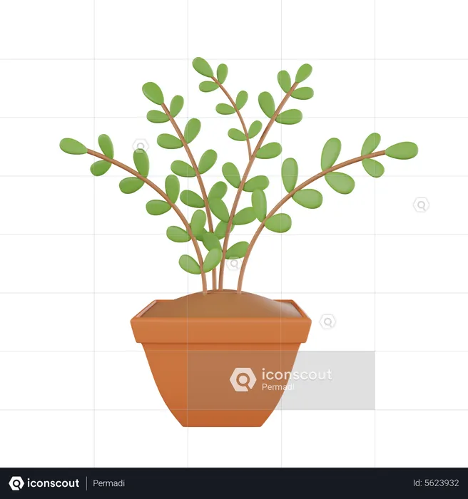 Plant Pot  3D Icon