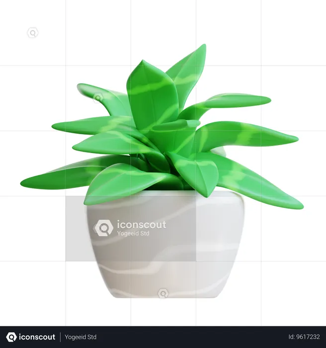 Plant Pot  3D Icon