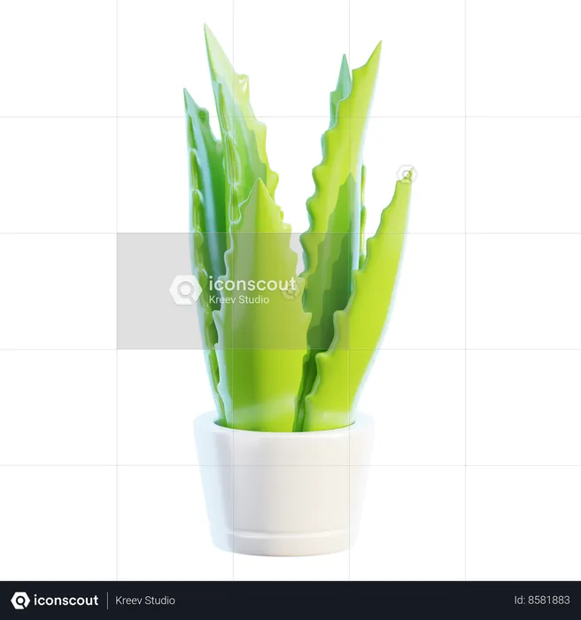 Plant Pot  3D Icon