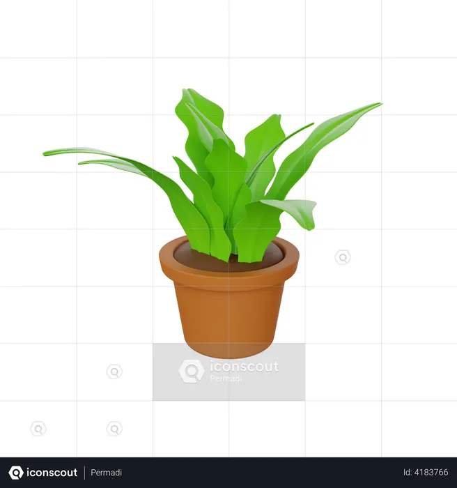 Plant Pot  3D Illustration