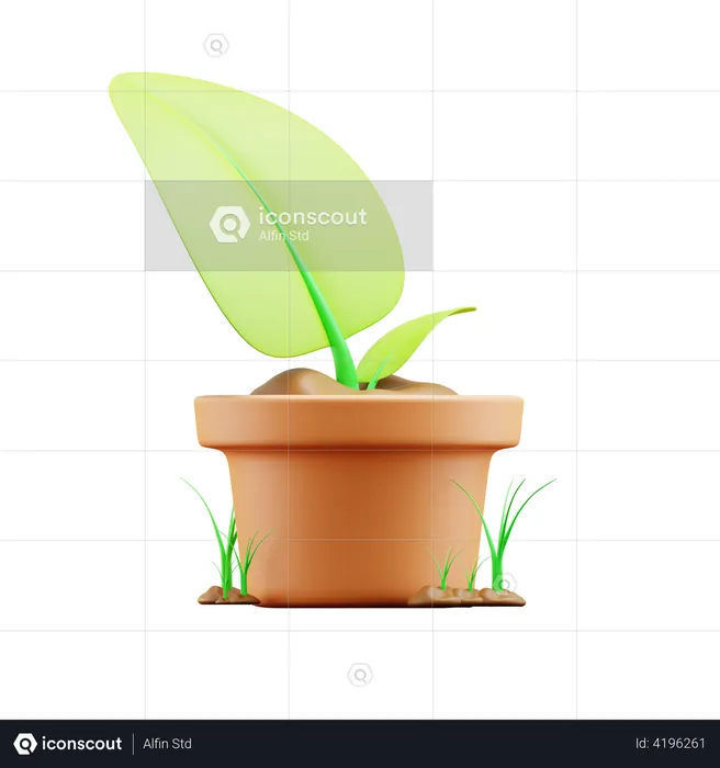 Plant pot  3D Illustration