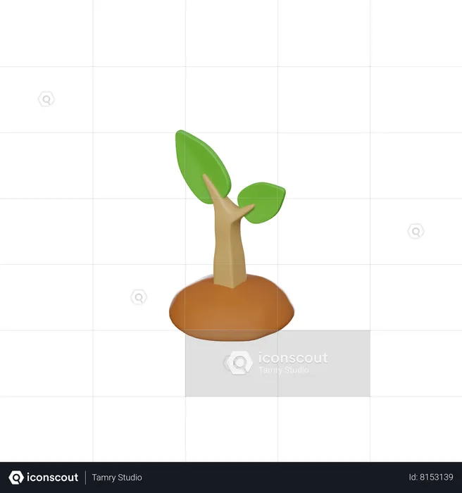 Plant Seeding  3D Icon
