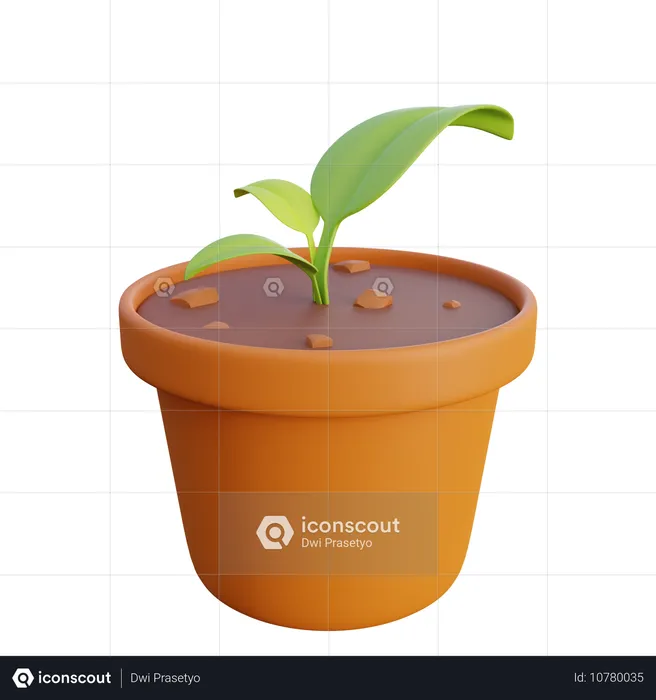 Plant seeds and pots  3D Icon