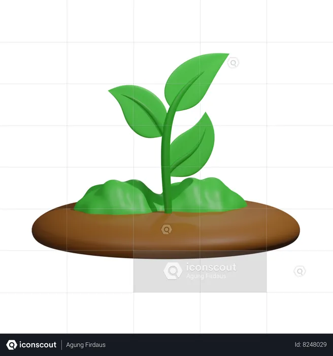 Planta  3D Icon