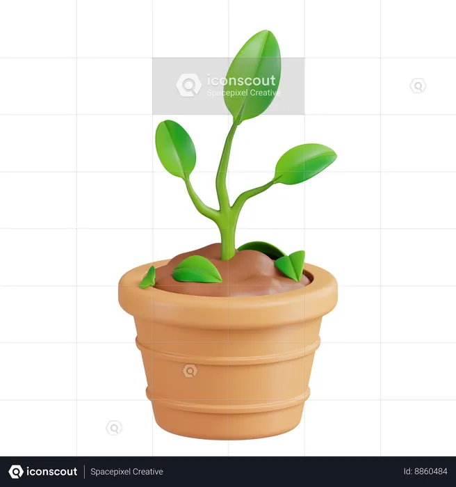 Plantar  3D Icon