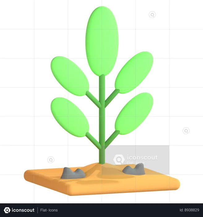 Planta  3D Icon