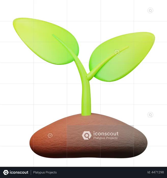 Plantar  3D Illustration