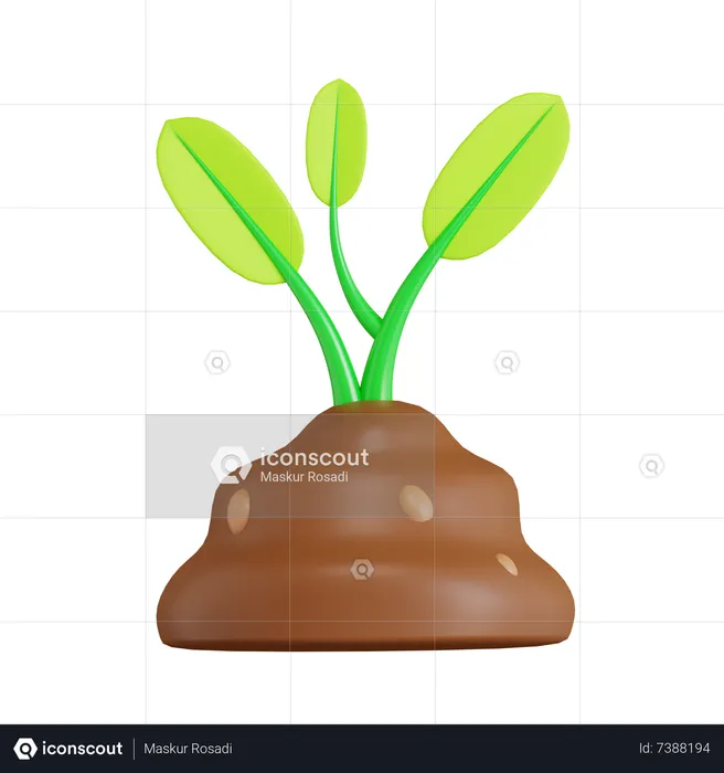 Planta  3D Icon