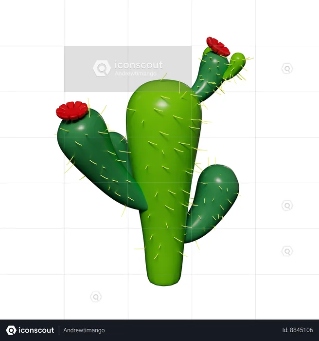 Planta de cactus  3D Icon