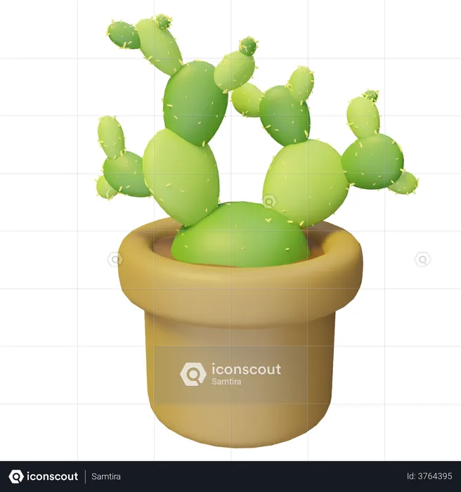 Planta de cactus  3D Illustration