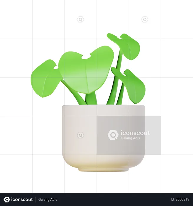 Planta ponta de flecha  3D Icon