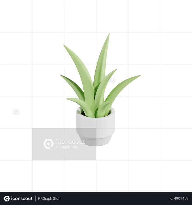 Planta de aloe vera  3D Icon