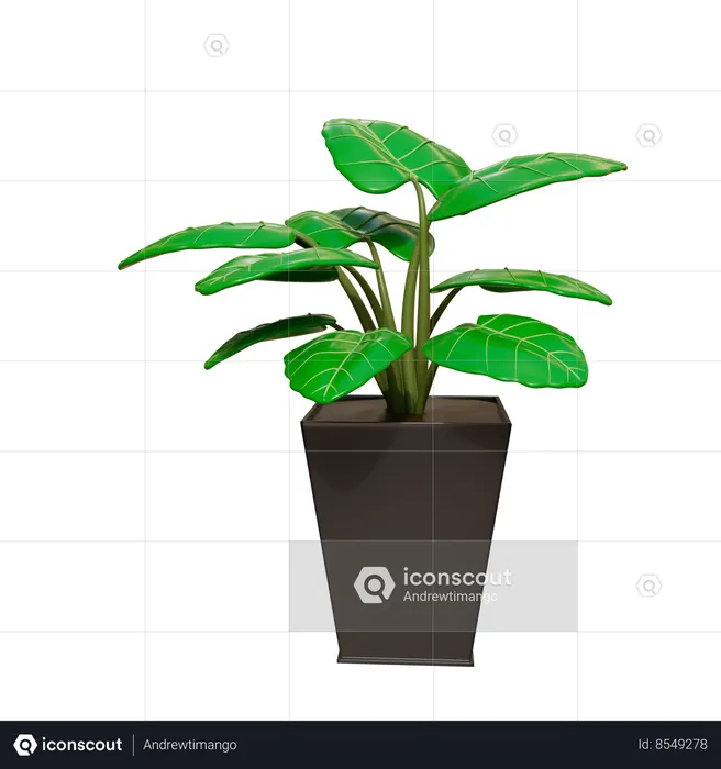 Planta da casa  3D Icon