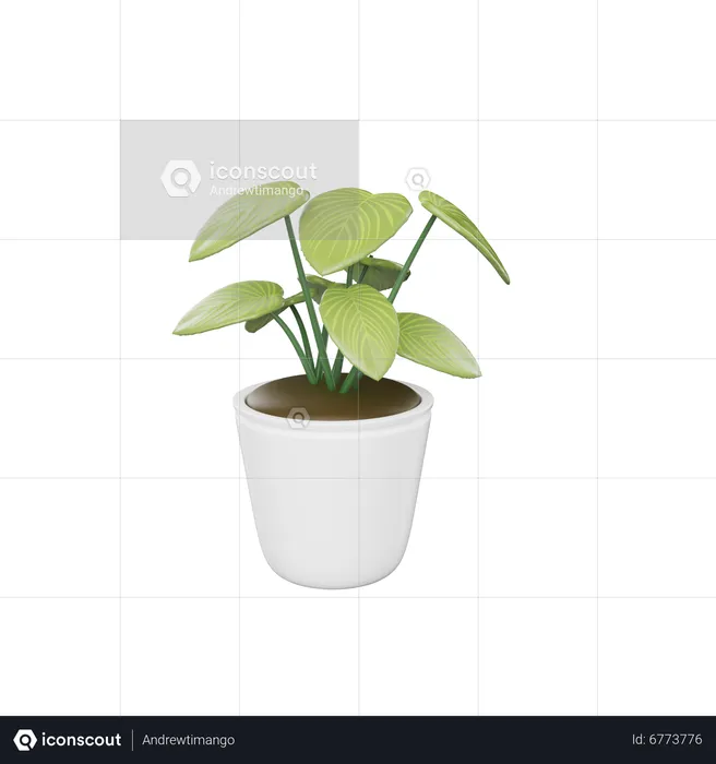 Planta de casa  3D Icon