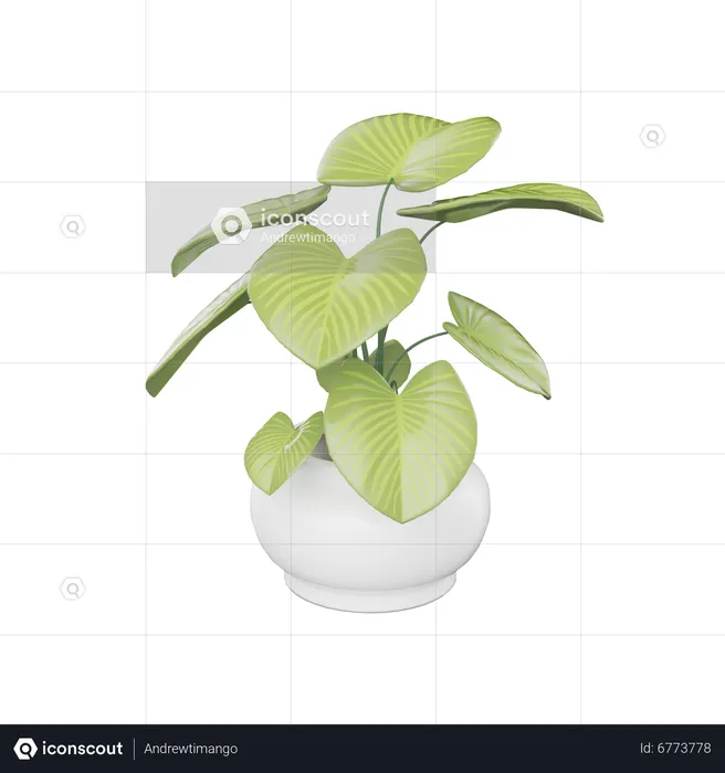 Planta da casa  3D Icon