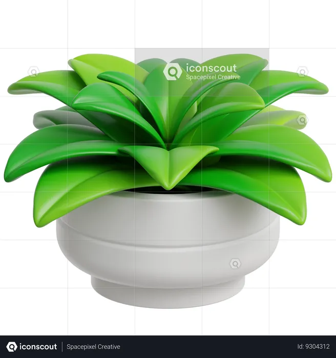 Planta de decoração  3D Icon