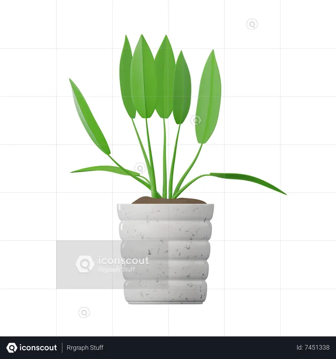 Planta spathiphyllum  3D Icon