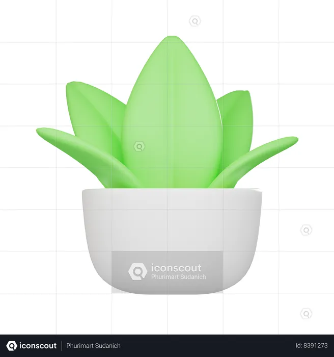 Plante au sol  3D Icon