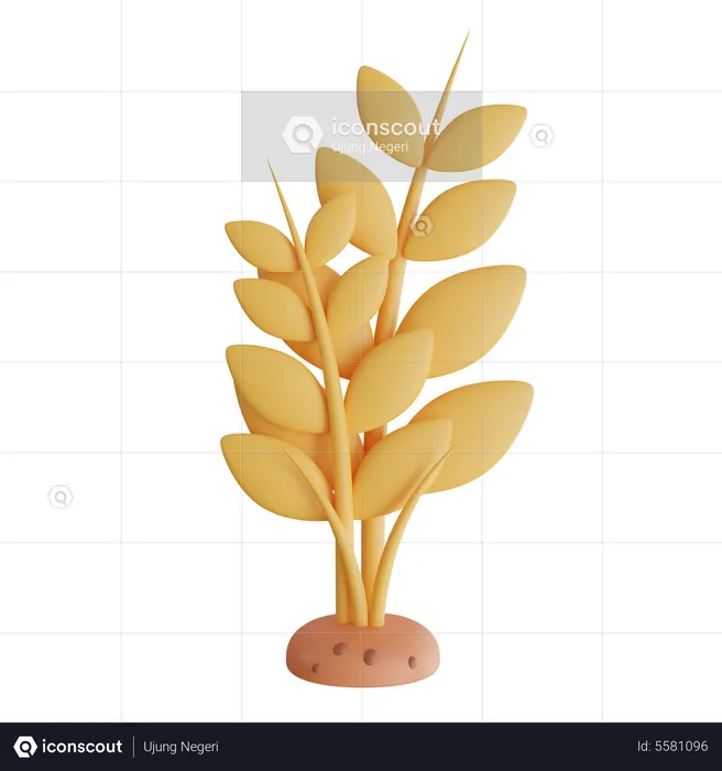 Plante de blé  3D Icon