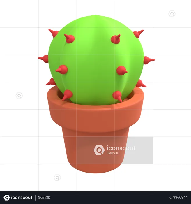 Plante de cactus  3D Illustration